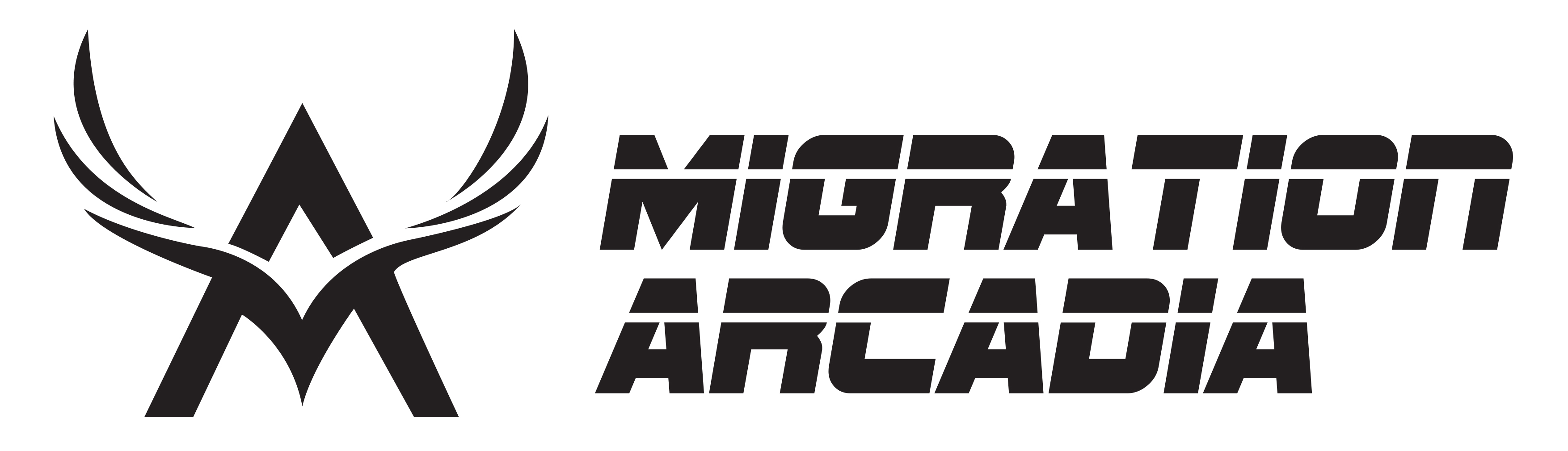 Migration Arcadia  Auburn Web development Websites 